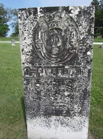 WATROUS, REV. DAVID - Fayette County, Iowa | REV. DAVID WATROUS 