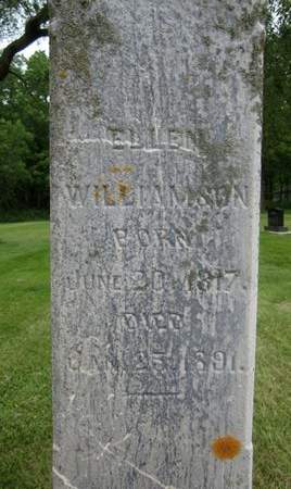 WILLIAMSON, ELLEN - Fayette County, Iowa | ELLEN WILLIAMSON 