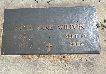 DESART WILSON, ERMA JANE - Fayette County, Iowa | ERMA JANE DESART WILSON 