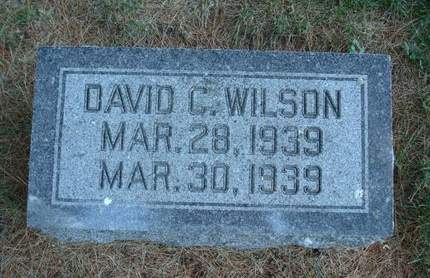 WILSON, DAVID CLIFTON - Fayette County, Iowa | DAVID CLIFTON WILSON 