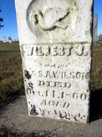 WILSON, WILBERT J. - Fayette County, Iowa | WILBERT J. WILSON 