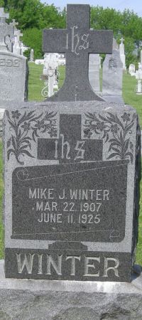 WINTER, MIKE J - Fayette County, Iowa | MIKE J WINTER 