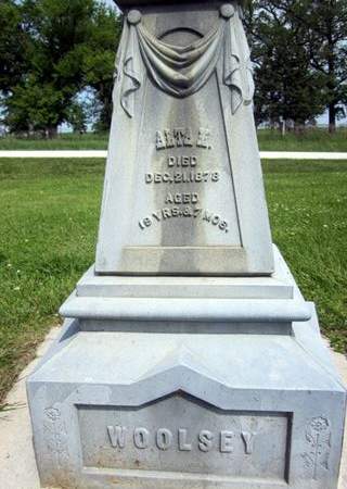 WOOLSEY, ALTA M. - Fayette County, Iowa | ALTA M. WOOLSEY 