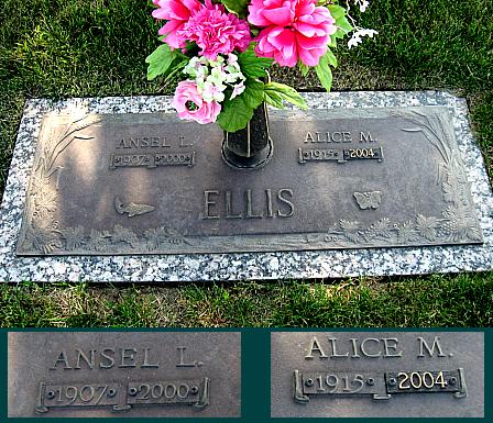 ELLIS, ANSEL L. - Floyd County, Iowa | ANSEL L. ELLIS 