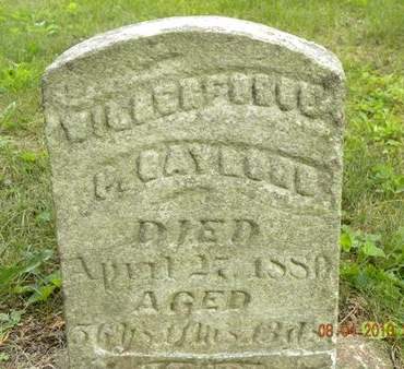 GAYLORD, WILBURFORCE P. - Floyd County, Iowa | WILBURFORCE P. GAYLORD 