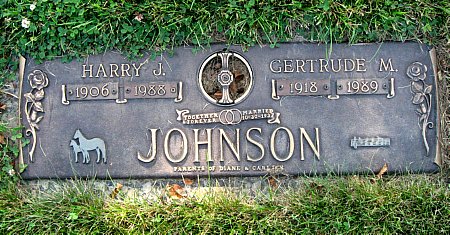 JOHNSON, HARRY J. - Floyd County, Iowa | HARRY J. JOHNSON 