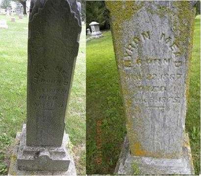 MEAD, MYRON - Floyd County, Iowa | MYRON MEAD 