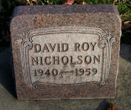 NICHOLSON, DAVID ROY - Floyd County, Iowa | DAVID ROY NICHOLSON 