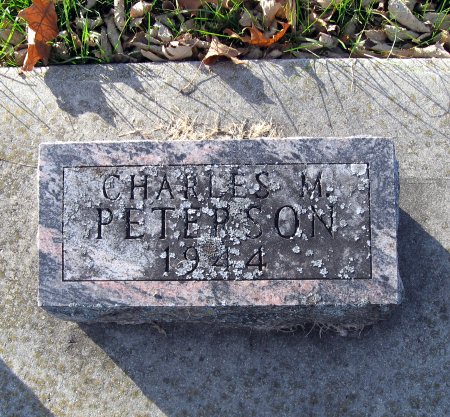 PETERSON, CHARLES  M. - Floyd County, Iowa | CHARLES  M. PETERSON 