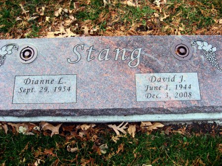 STANG, DAVID J. - Floyd County, Iowa | DAVID J. STANG 