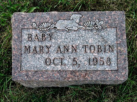 TOBIN, MARY ANN - Floyd County, Iowa | MARY ANN TOBIN 