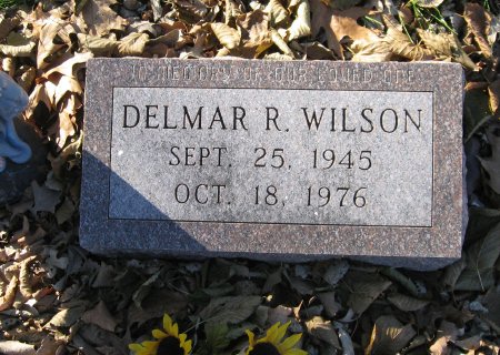 WILSON, DELMAR R. - Floyd County, Iowa | DELMAR R. WILSON 