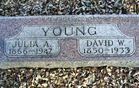 YOUNG, DAVID W. - Floyd County, Iowa | DAVID W. YOUNG 