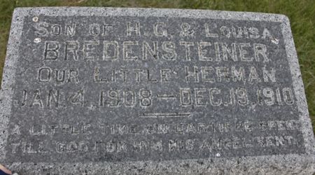 BREDENSTEINER, HERMAN - Fremont County, Iowa | HERMAN BREDENSTEINER 