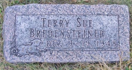 BREDENSTEINER, TERRY SUE - Fremont County, Iowa | TERRY SUE BREDENSTEINER 
