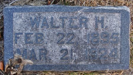 BREDENSTEINER, WALTER H - Fremont County, Iowa | WALTER H BREDENSTEINER 