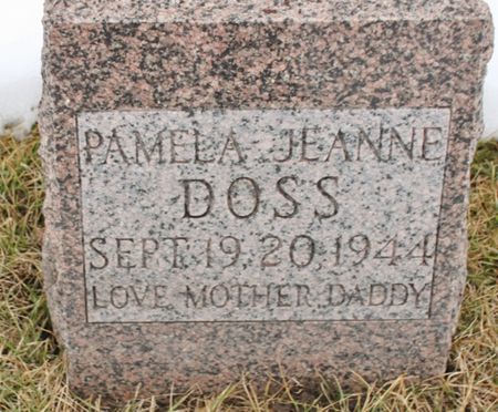 DOSS, PAMELA - Fremont County, Iowa | PAMELA DOSS 