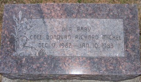 MICHEL, COLE DONOVAN RICHARD - Fremont County, Iowa | COLE DONOVAN RICHARD MICHEL 