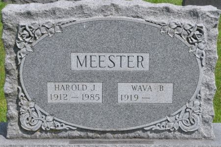 MEESTER, HAROLD J. - Grundy County, Iowa | HAROLD J. MEESTER 