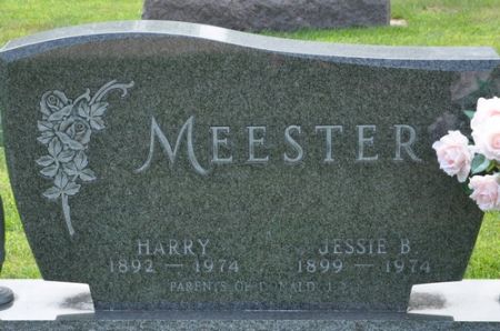 MEESTER, HARRY - Grundy County, Iowa | HARRY MEESTER 