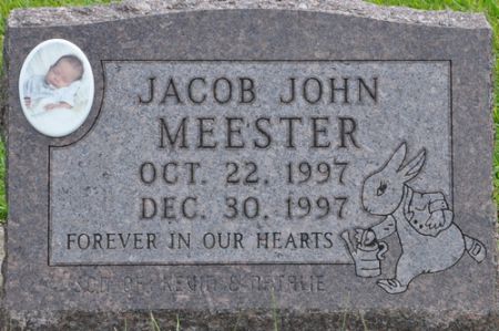 MEESTER, JACOB JOHN - Grundy County, Iowa | JACOB JOHN MEESTER 