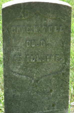 TULL, CHAS. H. - Grundy County, Iowa | CHAS. H. TULL 