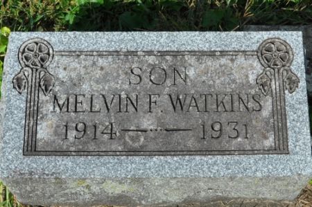 WATKINS, MELVIN F. - Grundy County, Iowa | MELVIN F. WATKINS 