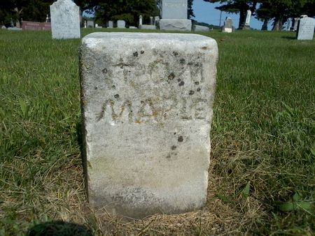 MAPLE, TOM (THOMAS) - Guthrie County, Iowa | TOM (THOMAS) MAPLE 