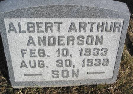ANDERSON, ALBERT ARTHUR - Hamilton County, Iowa | ALBERT ARTHUR ANDERSON 