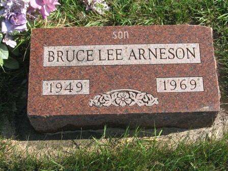 ARNESON, BRUCE LEE - Hamilton County, Iowa | BRUCE LEE ARNESON 