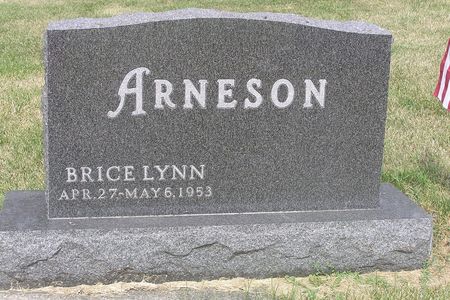 ARNESON, BRICE LYNN - Hamilton County, Iowa | BRICE LYNN ARNESON 