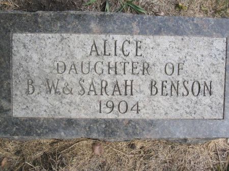 BENSON, ALICE - Hamilton County, Iowa | ALICE BENSON 