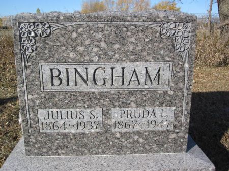 BINGHAM, JULIUS S. - Hamilton County, Iowa | JULIUS S. BINGHAM 