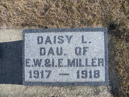 MILLER , DAISY L - Hamilton County, Iowa | DAISY L MILLER  