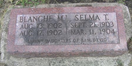 DYVIG, BLANCHE M. - Hamilton County, Iowa | BLANCHE M. DYVIG 