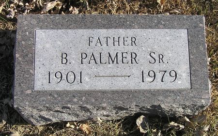 ERICKSON, SR., B. PALMER - Hamilton County, Iowa | B. PALMER ERICKSON, SR. 
