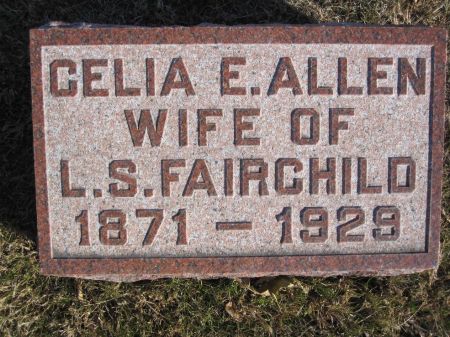 ALLEN FAIRCHILD, CELIA E. - Hamilton County, Iowa | CELIA E. ALLEN FAIRCHILD 