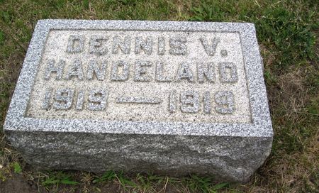 HANDELAND, DENNIS V. - Hamilton County, Iowa | DENNIS V. HANDELAND 