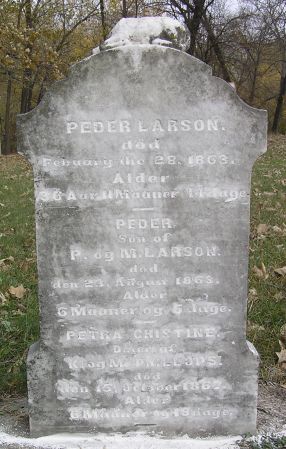 PHILLOPS, PETRA CHISTINE - Hamilton County, Iowa | PETRA CHISTINE PHILLOPS 