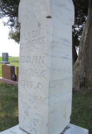 LUNNING, CHILDREN - Hamilton County, Iowa | CHILDREN LUNNING 