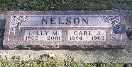 NELSON, CARL J. - Hamilton County, Iowa | CARL J. NELSON 