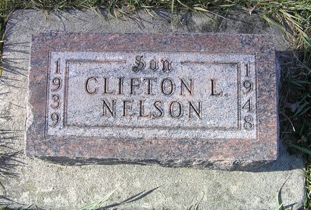 NELSON, CLIFTON L. - Hamilton County, Iowa | CLIFTON L. NELSON 