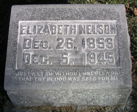 NELSON, ELIZABETH - Hamilton County, Iowa | ELIZABETH NELSON 