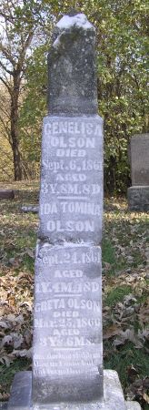 OLSON, IDA TOMINA - Hamilton County, Iowa | IDA TOMINA OLSON 