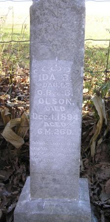 OLSON, IDA B. - Hamilton County, Iowa | IDA B. OLSON 