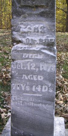 OLSON, LARS - Hamilton County, Iowa | LARS OLSON 