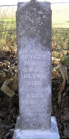 OLSON, ORVEL E. - Hamilton County, Iowa | ORVEL E. OLSON 