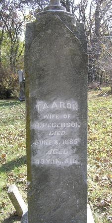 PEDERSON, TAARON - Hamilton County, Iowa | TAARON PEDERSON 