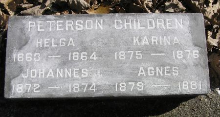 PETERSON, KARINA - Hamilton County, Iowa | KARINA PETERSON 