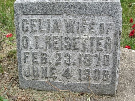 REISETTER, CELIA - Hamilton County, Iowa | CELIA REISETTER 
